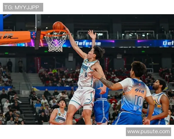 探索TS篮球明星的成长之路与辉煌成就背后的故事与启示